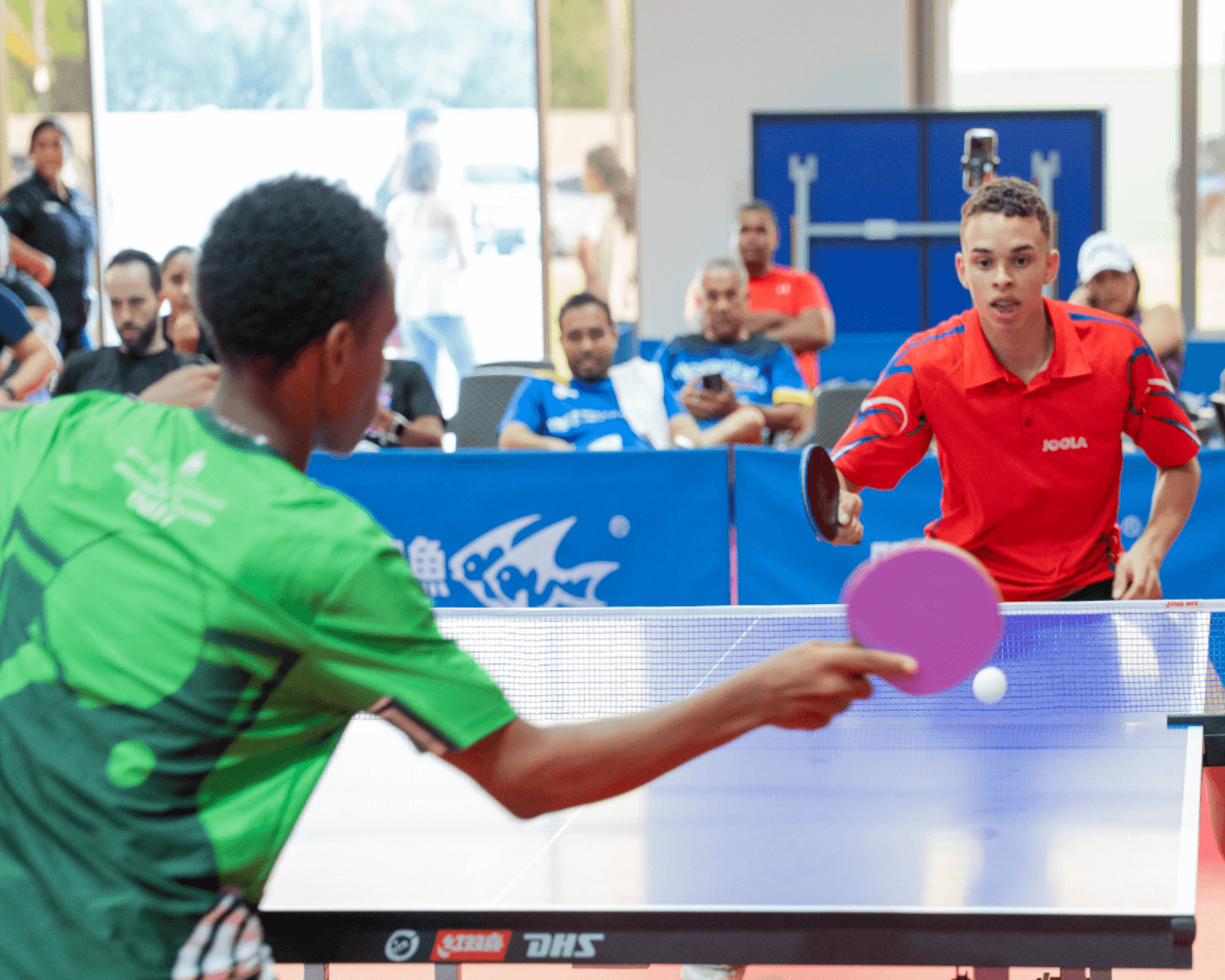 Raquetas y pelota sobre una mesa de tenis de mesa